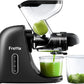 3-Inch Wide Feed Chute Masticating Cold Press Juicer - All gadgets Market #