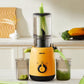 Commercial Electric Juicer Large Caliber - All gadgets Market #